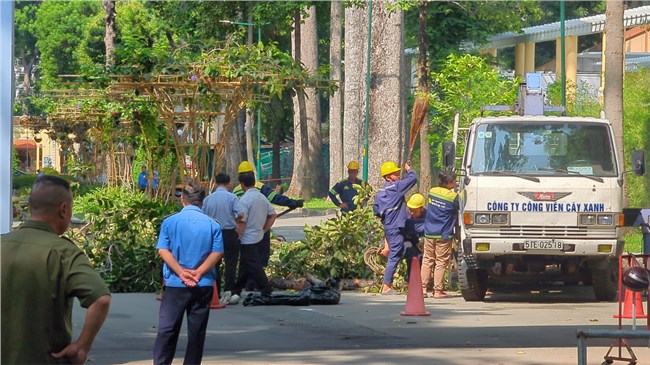 THỜI SỰ 12H TRƯA 09/08/2024: Cành cây xanh gãy đổ ở công viên Tao Đàn TP.HCM khiến 2 người chết, nhiều người bị thương